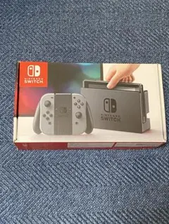 Nintendo Switchグレー付属品セット