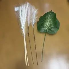 ドライフラワーセット