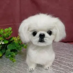 即購入可能です♪羊毛フェルト【ペキニーズ】犬　他の犬種もオーダー受付中です。 即購入可能です♪羊毛フェルト【ペキニーズ】犬 他の犬種も