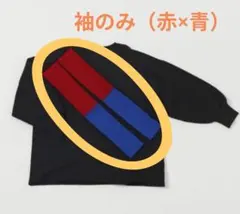 Item thumbnail for item f107c8e6-5ea6-433f-a2dc-aa001a3bb732