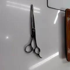 2026年最新】ジョーウェル シザーの人気アイテム - メルカリ