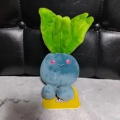 ぬいぐるみ Pokemon fit ナゾノクサ ポケモンフィット ポケセン