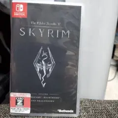 Switch版　スカイリムSKYRIM【動作確認済】