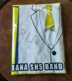 Item thumbnail for item a3607a4c-7025-48b7-b477-d05ffab88007