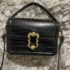 【ZARA】美品クロコダイル風ショルダーバッグ　ブラック　ゴールドヘビ柄スネーク