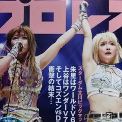 ＭＡＴＳＵＮ様 リクエスト 2点 まとめ商品