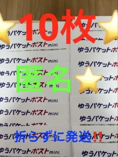 ゆうパケットポストmini 専用封筒 10枚セットその66