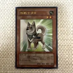 遊戯王 柴戦士タロ