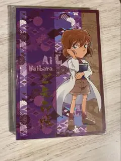 名探偵コナン　世良真純　御朱印帳　ご朱印帳 名探偵コナン 世良真純 御朱印帳 ご朱印帳 Yahoo!オークション