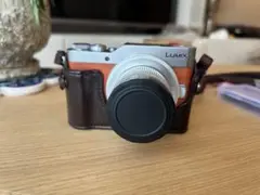 Panasonic LUMIX DC-GF9ミラーレス一眼