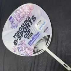 Item thumbnail for item 676ff368-2ced-4f1c-8c19-f555ace61fe3