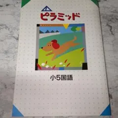 【塾専用】ピラミッド 小5 国語のサムネイル