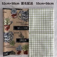布はぎれ　カットクロス　多肉植物＆チェック柄 綿麻生地　綿生地2枚