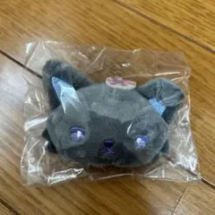 JOCHUM ピーハイ シークレットブローチ