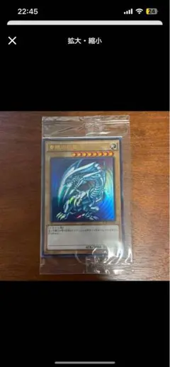 【未開封】ブルーアイズホワイトドラゴン　秘蔵レア