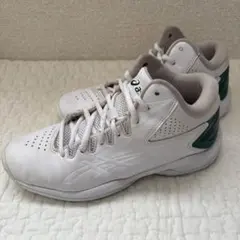 asics バスケ シューズ ゲルインプルーブ　ジュニア　22.5cm