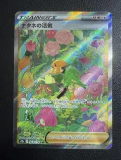 【ARS10+】ナタネの活気　SAR ポケモンカード VSTARユニバース Amazon.co.jp: ポケモンカードゲーム ソード＆シールド s12a