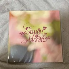 【おまけつき】あんスタ スタフォニ4th 入場特典 パンフレット