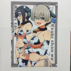 宇崎ちゃんは遊びたい! A4クリアファイル ③