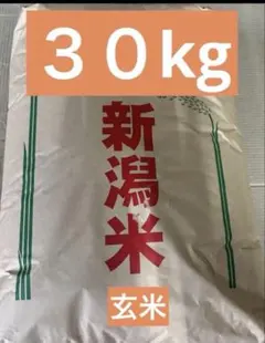 【送料込】【令和7年度 】新潟県産コシヒカリ玄米30キロ　⑦のサムネイル