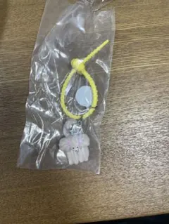 Maison terrier ベージュ　メレンゲ
