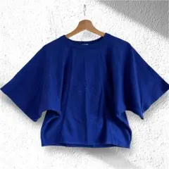 DRESSTERIOR ドレステリア日本製 コットン麻ワイド半袖ニット ブルーのサムネイル