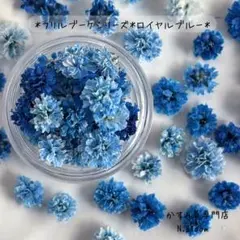 かすみ草　＊ロイヤルブルー＊　60粒＋α フリルブーケシリーズ　ドライフラワー