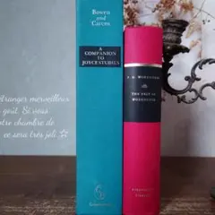 B279 ヴィンテージ 洋書 お洒落な組み合わセット ディスプレイ インテリア