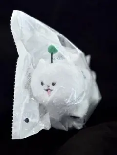 18TRIP ペンライトカスタムぬい しゅうまい エイトリ おもライ - メルカリ