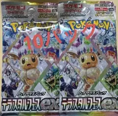 テラスタルフェスex 1box分 10パック