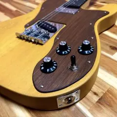 2026年最新】テレキャスター アベフトシの人気アイテム - メルカリ