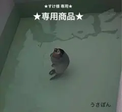 ★専用商品★