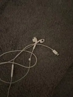 Apple 有線イヤフォン
