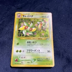 希少【PSA10】旧裏　ポケモンカード　キレイハナ　鑑定品　プロモ 2025年最新】キレイハナ 旧 psa10の人気アイテム - メルカリ