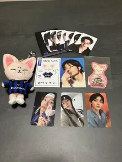 スキズ　Stray kids karma skzoo フォクシニー　アイエン