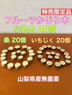 Item thumbnail for item 88fc33ac-bc7a-46ba-b44d-a1f1c3659c16