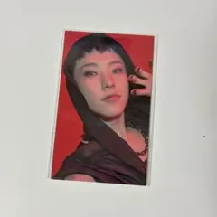 セブチ　seventeen ホシ　holidayペンミ来場者限定