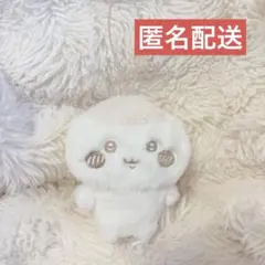 Item thumbnail for item cb9b7ec9-46f9-40c3-b842-9320ebc652d9