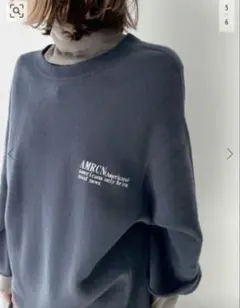 別注 アパルトモン グッドグリーフ レミレリーフ アメリカーナ