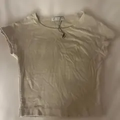 Item thumbnail for item ec8ba3ac-64c9-4890-a9cc-d5cf30a17acd