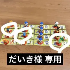 だいき様 専用出品