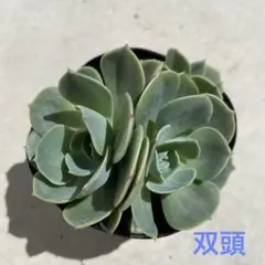 haruhika様 リクエスト 3点 まとめ商品