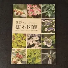 Item thumbnail for item c2d55690-2ed3-477a-949e-0d3062b95c0d