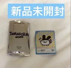 サウナトレカ ととのえちゃん 東京銭湯コレクションカード サウナー