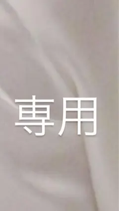 専用