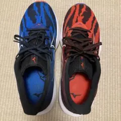 ミズノウェーブライダー28