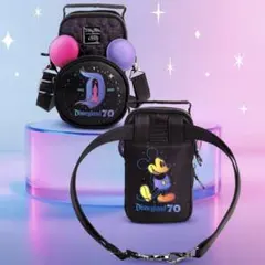 激レア　ディズニーランドリゾート　70周年記念　ラグバッグ　肩掛けバッグ