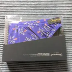 Item thumbnail for item c2717848-1edd-49d2-ade5-b72f224af519