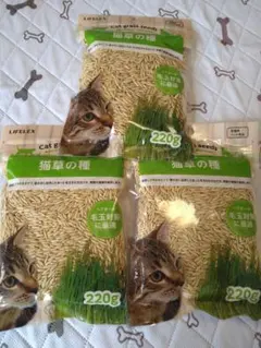 최신 고양이 풀 품종, 고양이 풀, 개, 고양이 헤어볼, 침 뱉기, 보풀 배려, 위장 건강 유지, 미개봉 ⑭