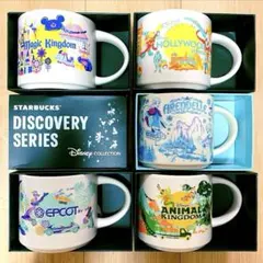 WDW wdw Starbucks スタバ マグ ディズニー ワールド アナ雪